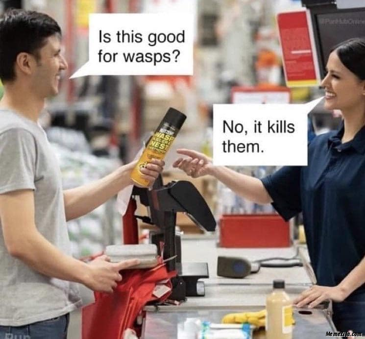 Is-this-good-for-wasps-No-it-kills-them-meme-3300.png