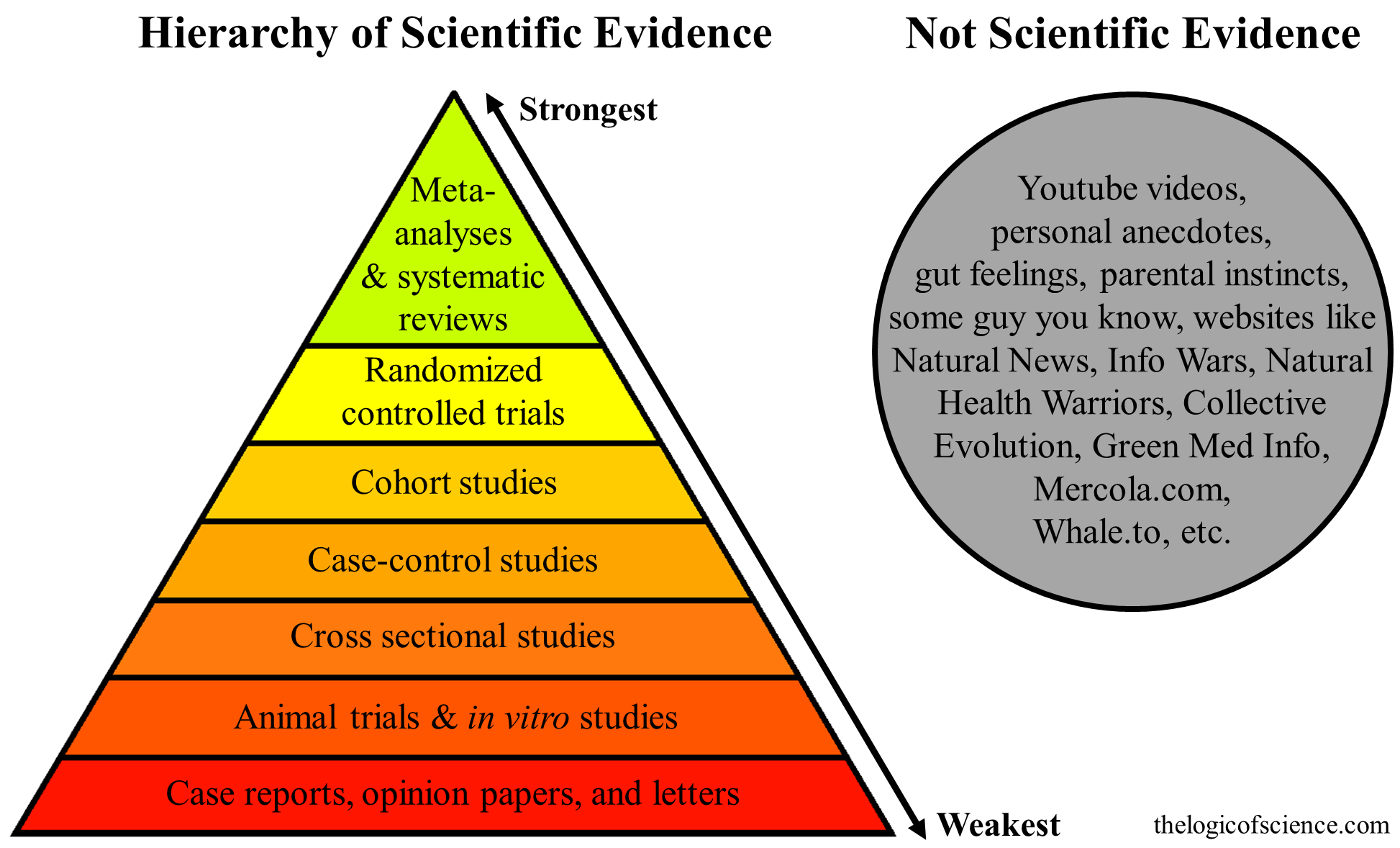 hierarchy-of-evidence2.png