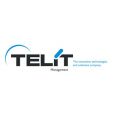 TELIT Management